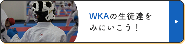 WKAの生徒達を見に行こう！